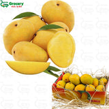 mango alphonso | grocery-spices