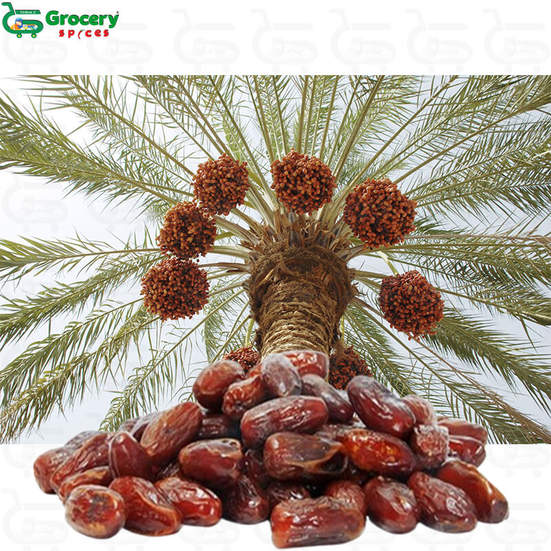 dates | grocery-spices