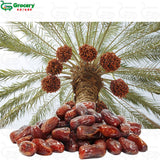 dates | grocery-spices