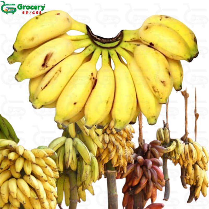 small banana | grocery-spices