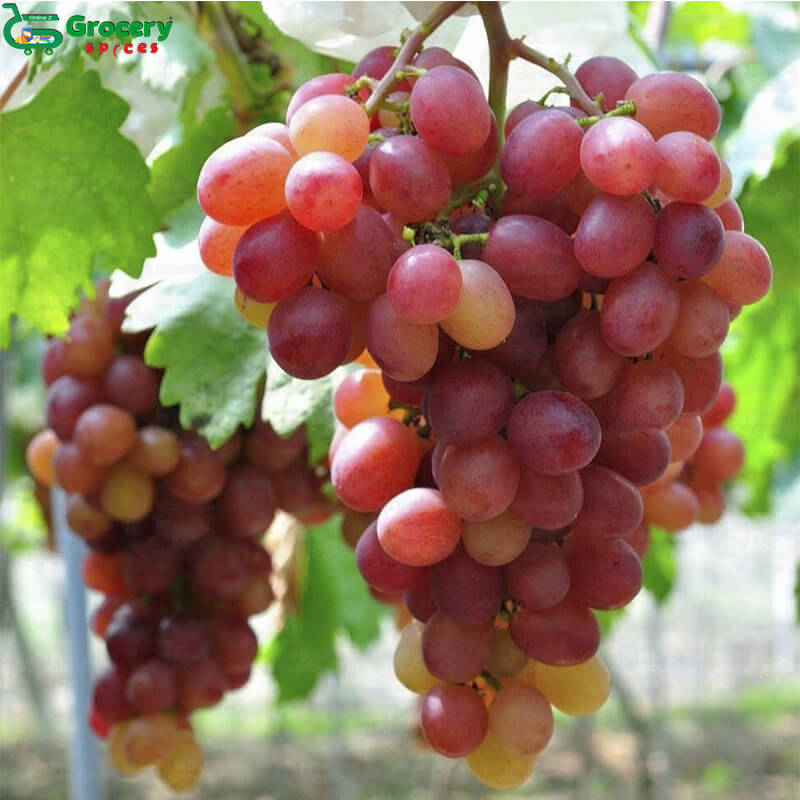 red globe grapes | grocery-spices