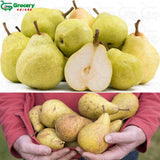 pear | grocery-spices