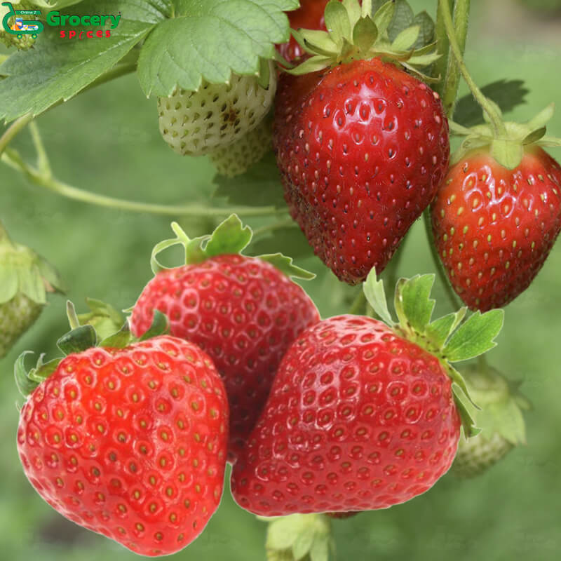 strawberries | grocery-spices