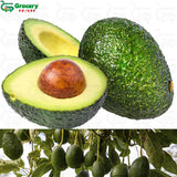 avocado | grocery-spices