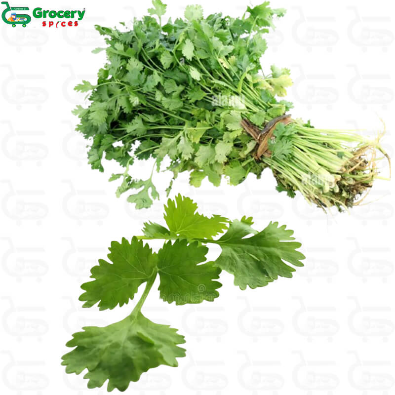 coriander leaves bunch | grocery-spices