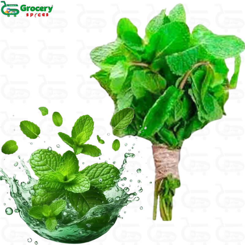 mint leaves bunch | grocery-spices