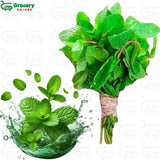 mint leaves bunch | grocery-spices