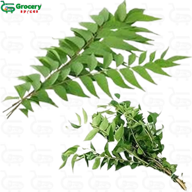 curry leaves bunch | grocery-spices