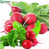 raddish red | grocery-spices