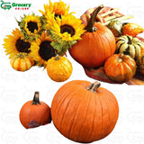 pumpkins | grocery-spices