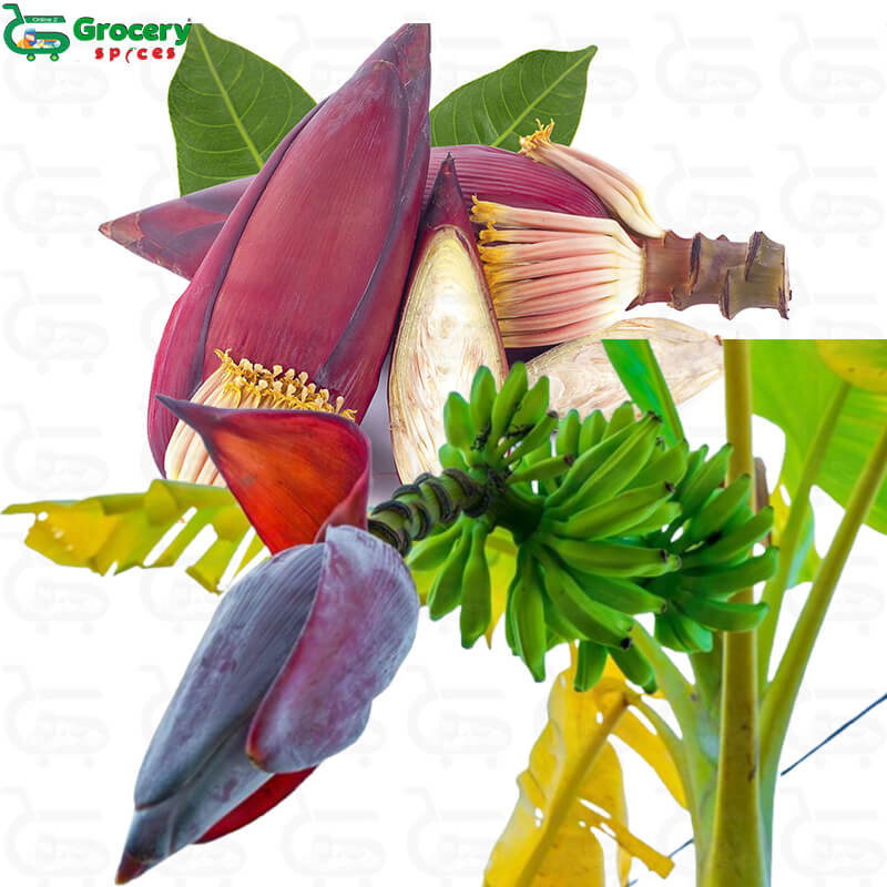 banana flower | grocery-spices